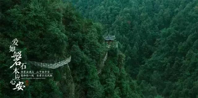 倩女幽魂手游